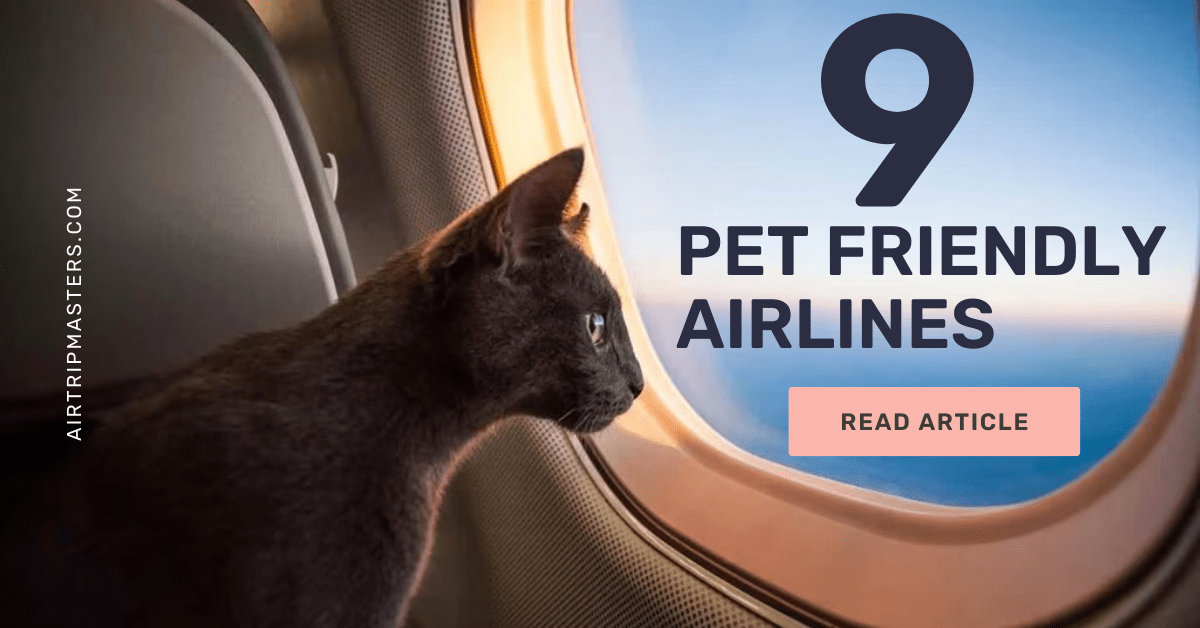 Pet Friendly Airlines