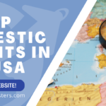 Cheap Domestic Flights in the USA