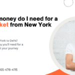 One Way Ticket from New York to Delhi