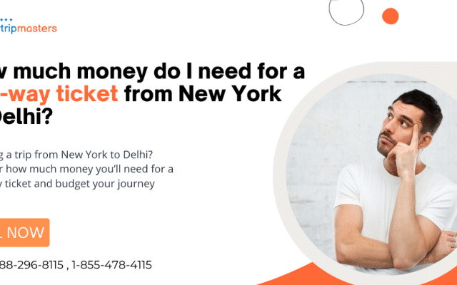 How much money do I need for a one-way ticket from New York to Delhi?
