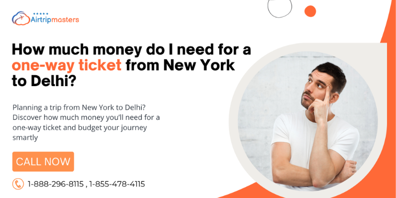 One Way Ticket from New York to Delhi