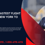 Fastest Flight Route from New York to Hyderabad_