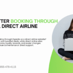 Which is better booking through Expedia or a direct airline website
