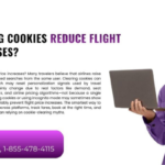 Does Clearing Cookies Reduce Flight Price Increases
