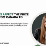 price of a flight from Canada to India