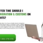 Immigration & Customs on USA India Flights