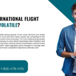 When Are International Flight Prices Least Volatile