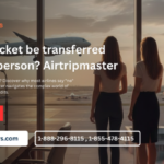 Can flight ticket be transferred to another person