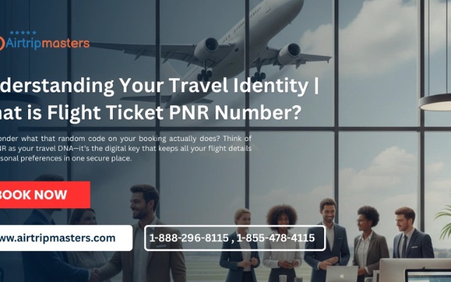 Understanding Your Travel Identity | What is Flight Ticket PNR Number?