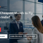 Cheapest Month to Fly from USA to India