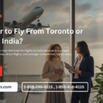 Cheaper to Fly From Toronto or Montreal to India