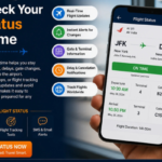 How to Check Your Flight Status in Real Time