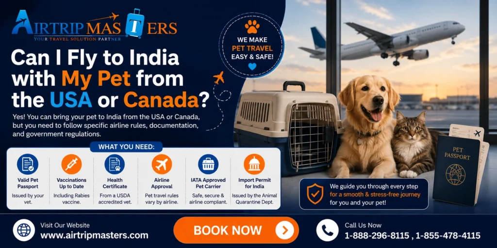 fly to India with my pet from the USA or Canada