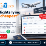 Is Google Flights Lying About the 'Cheapest' India Fare